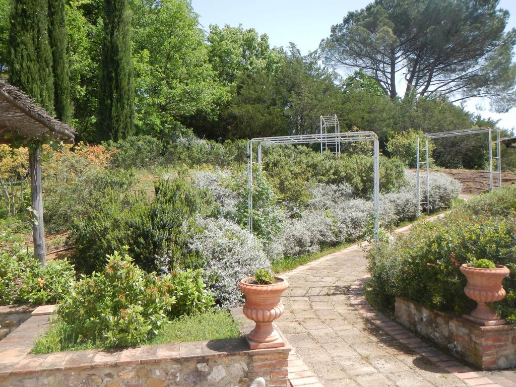 Fattoria Nuova Pievanella Villa Monte Antico Exterior photo